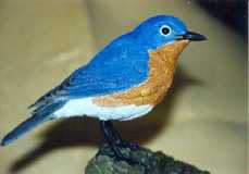 blue bird2